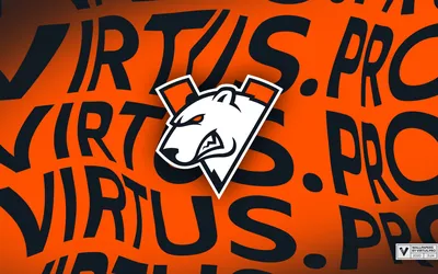 Фото Virtus Pro в соотношении 1:2 для рабочего стола в PNG