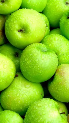 Зеленые яблоки обои