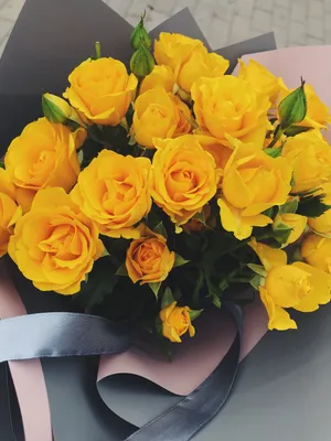 Желтые розы обои