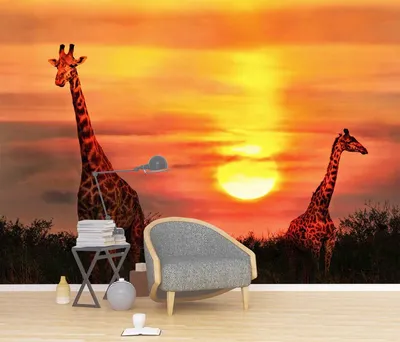 Жираф обои на телефон скачать бесплатно в хорошем качестве