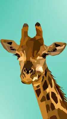 Жираф обои на Андроид бесплатно