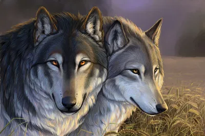 Скачать бесплатные обои Животные волки