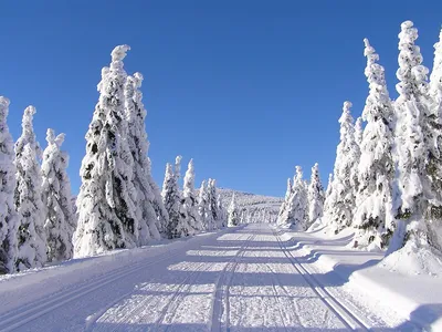 Бесплатные фото зимних гор в хорошем качестве для скачивания