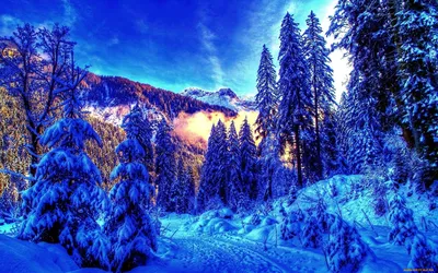 Бесплатные обои Зима горы для Windows