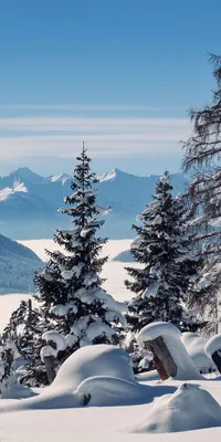 Шикарные фото зимних гор в webp формате