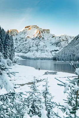 Бесплатные обои Зима горы для Windows 10