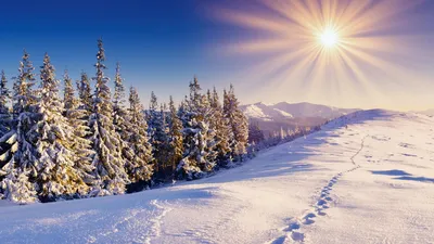 Загрузите фото Зима горы в webp формате