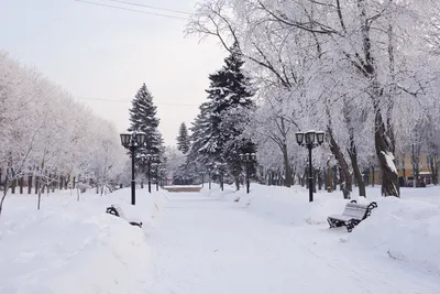 Зима в городе обои