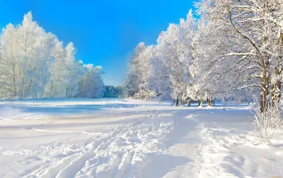 Зимняя природа во всей красе: фото обои на телефон