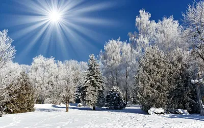 Android фон: зимние пейзажи для создания уютной обстановки