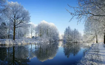 Фото обои на телефон: выберите замечательные зимние пейзажи