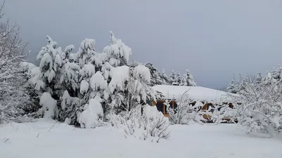 Фото обои на iPhone: зимние пейзажи, чтобы всегда быть в атмосфере зимы