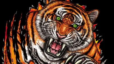Фото Злого тигра в формате PNG: скачать на iPhone