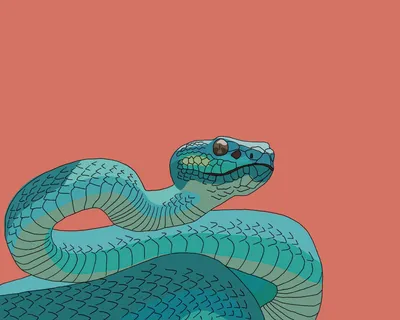 Змея Гуччи: Обои на телефон в формате JPG