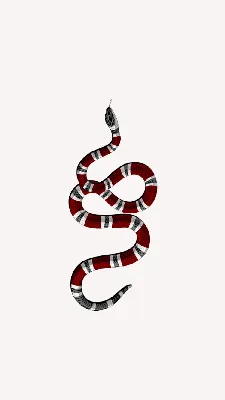 Змея Гуччи: Обои на телефон в формате PNG
